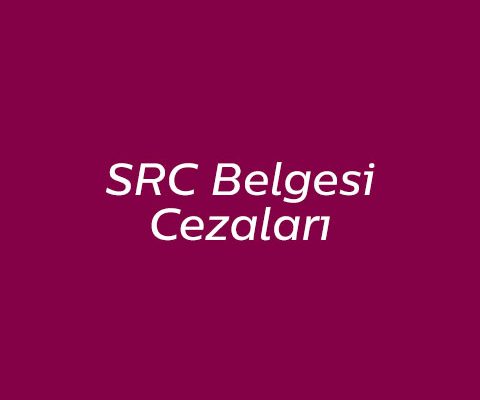 SRC Belgesi Cezalar